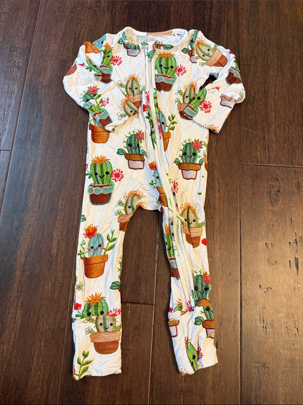 Cactus Print One-Piece Bamboo Pajamas